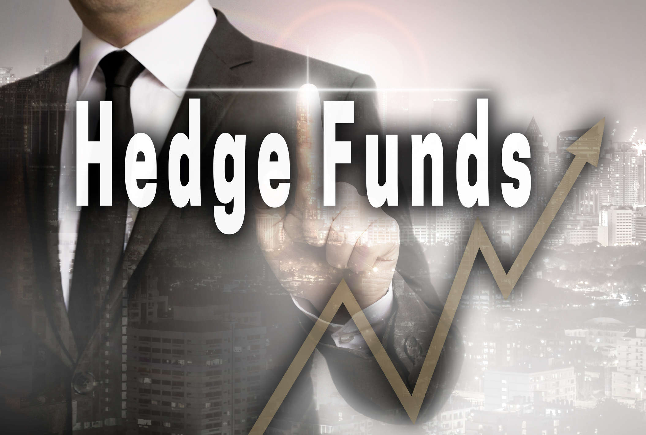 Investing into a Hedge Fund
